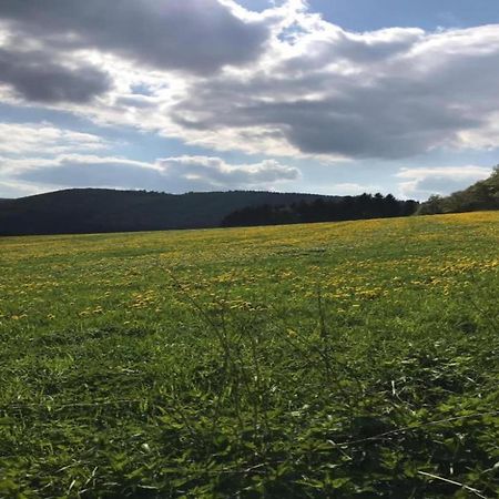 Comfortable Holiday Home In Neuastenberg Winterberg Extérieur photo