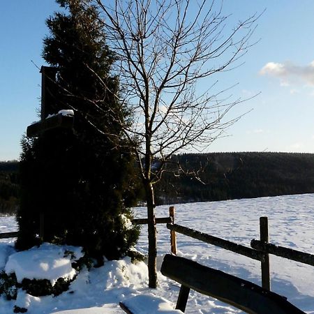 Comfortable Holiday Home In Neuastenberg Winterberg Extérieur photo